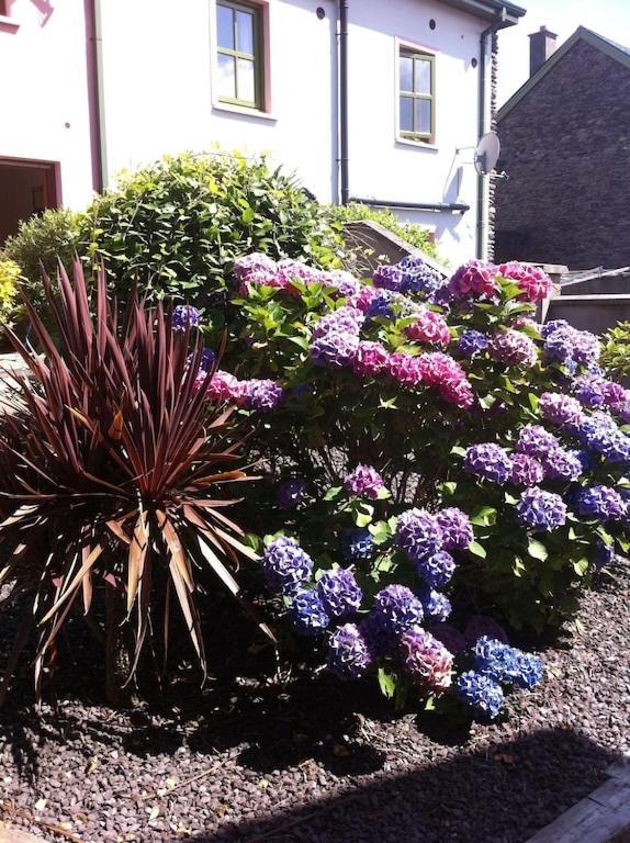 Burnham View Villa Dingle Bagian luar foto